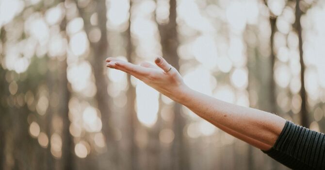 When 41% of Patients Miss an Appointment, It's Rarely Just Forgetfulness